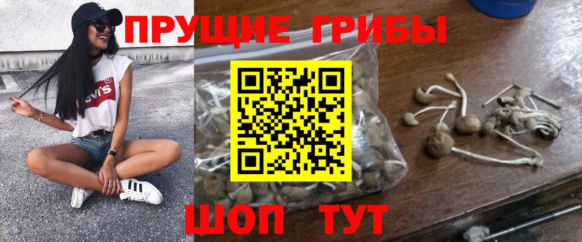 что такое наркотик  Вход с VPN  Великий Новгород  Псилоцибиновые грибы ЛСД 